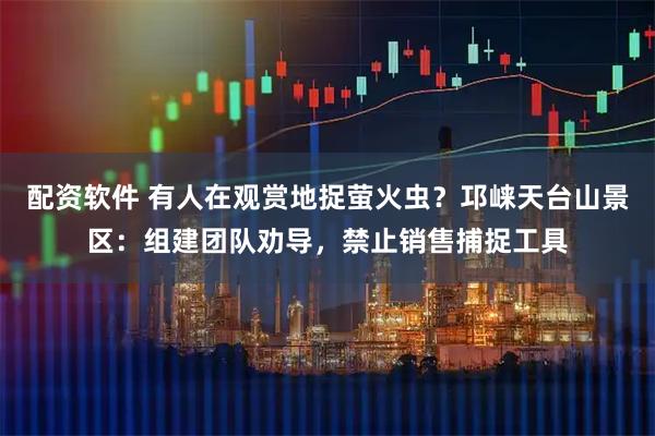 配资软件 有人在观赏地捉萤火虫？邛崃天台山景区：组建团队劝导，禁止销售捕捉工具